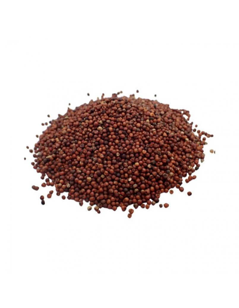 RAGI SEED