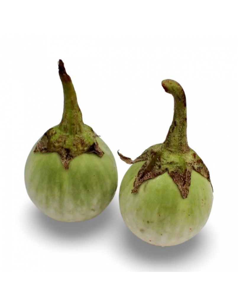 BRINJAL GREEN 300GM