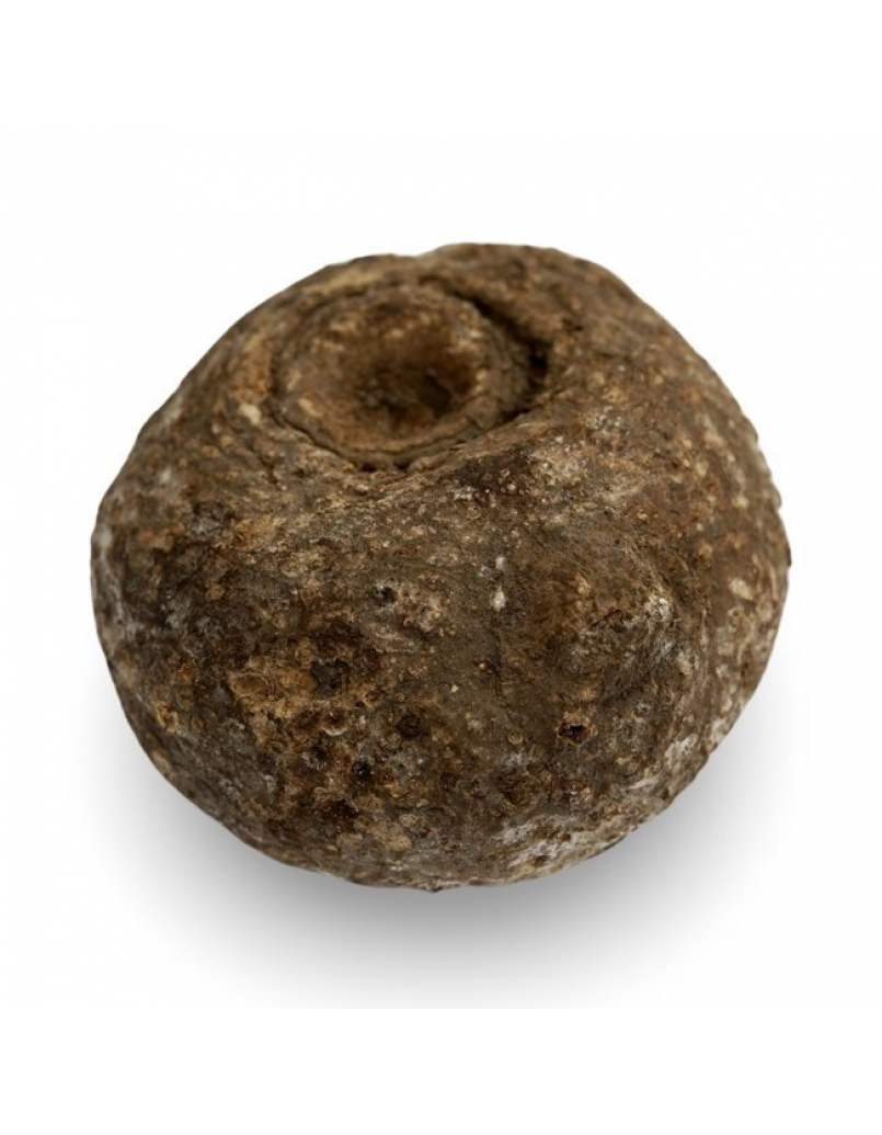 SENAI KIZHANGU 300gm