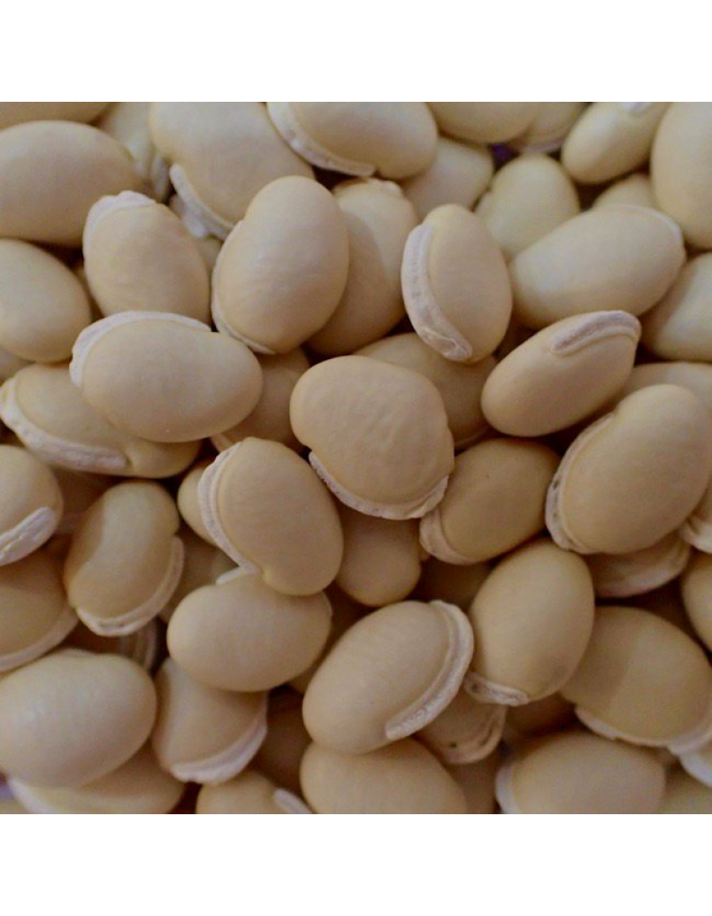 MOCHAI KOTTAI /LAB BEAN/KACANG SEPAT