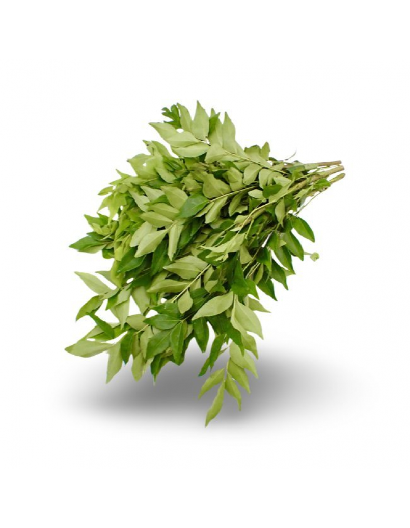 CURRY LEAF PCS