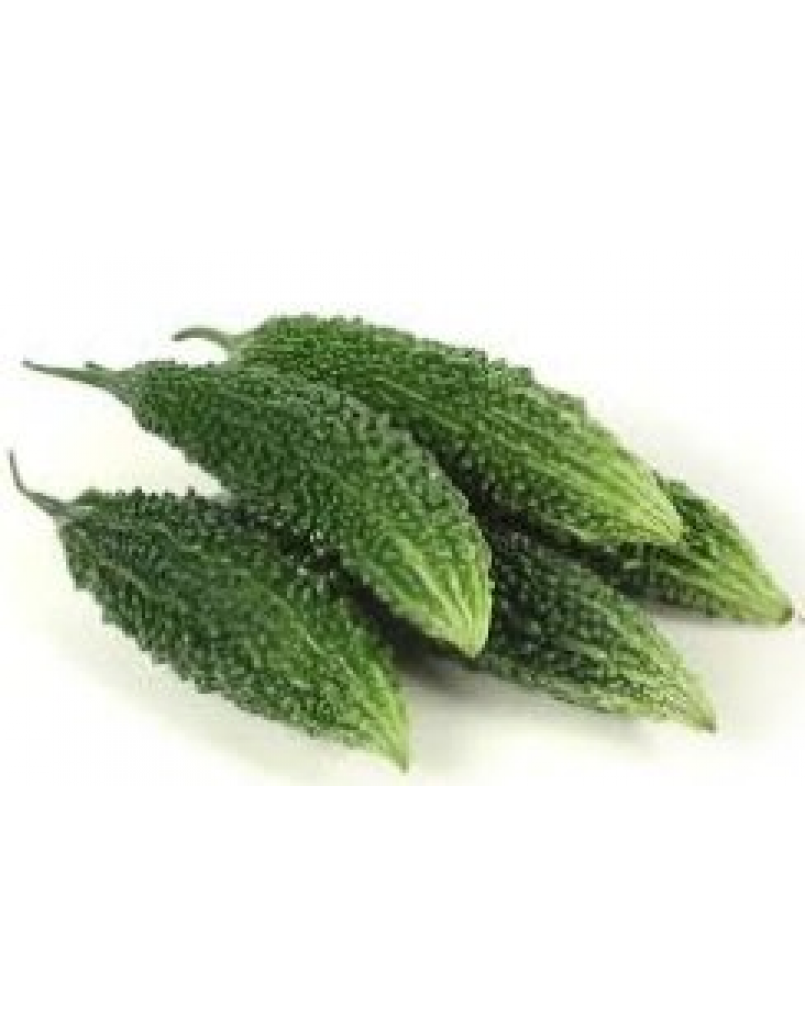 INDIA BITTER GOURD