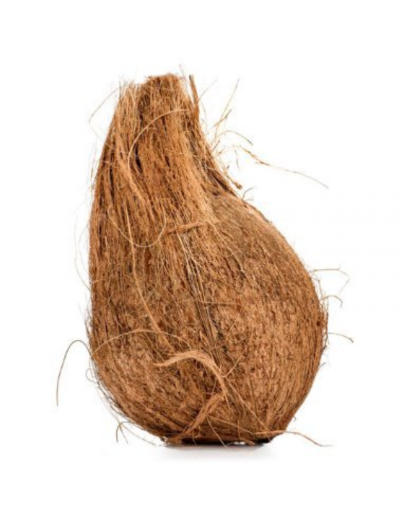 WHOLE COCONUT