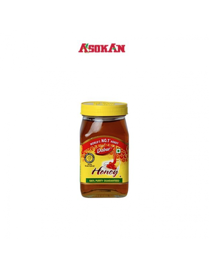 DABUR HONEY 500G